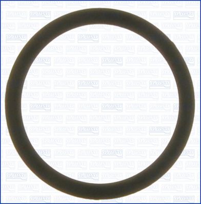 Garnitura termostat