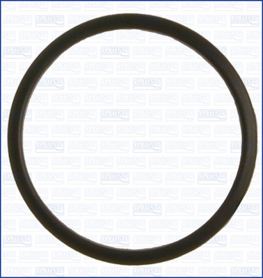 Garnitura termostat