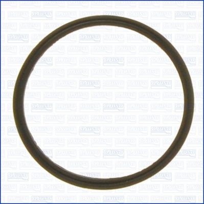 Garnitura termostat