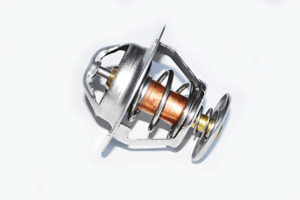 Termostat lichid racire