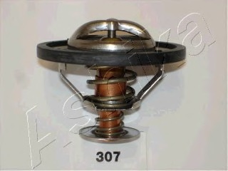 Termostat lichid racire