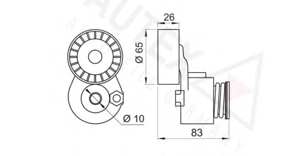 Rola intinzator curea transmisie