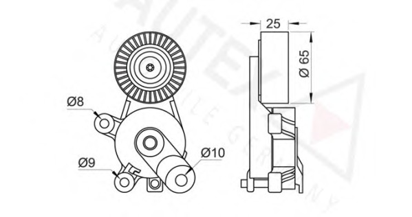 Rola intinzator curea transmisie