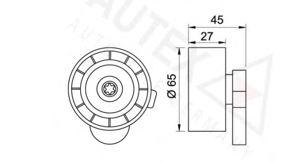 Rola intinzator curea transmisie