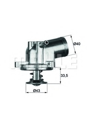 Termostat lichid racire