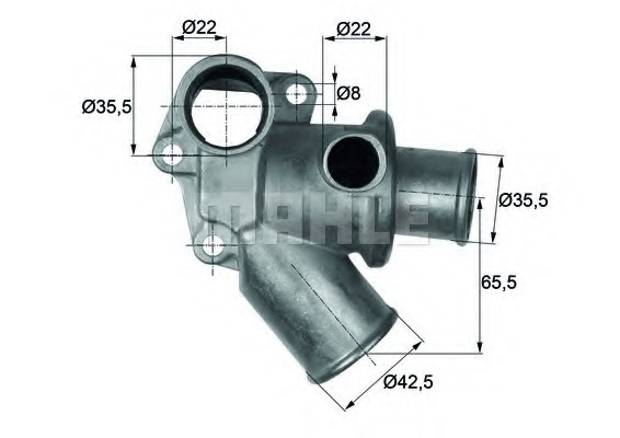 Termostat lichid racire
