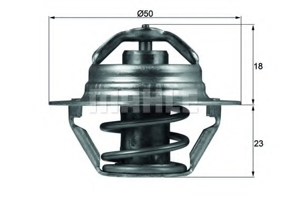 Termostat lichid racire