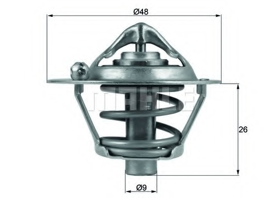 Termostat lichid racire