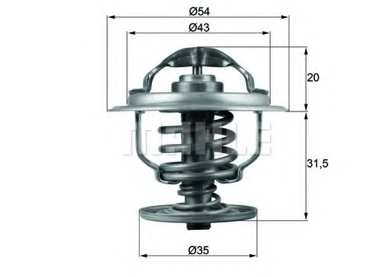 Termostat lichid racire
