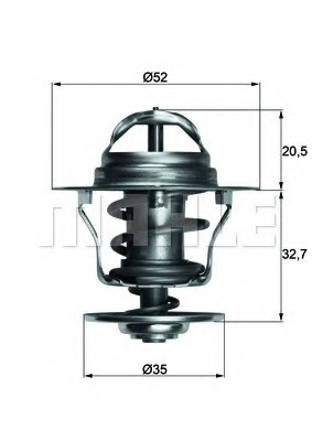 Termostat lichid racire