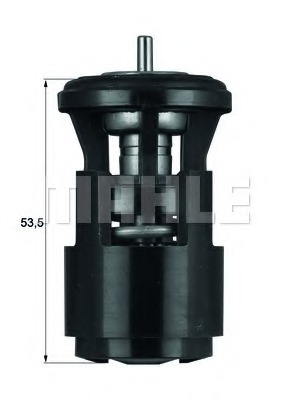 Termostat lichid racire