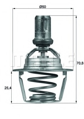 Termostat lichid racire
