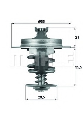 Termostat lichid racire