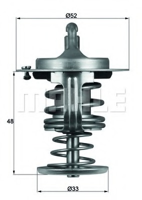 Termostat lichid racire