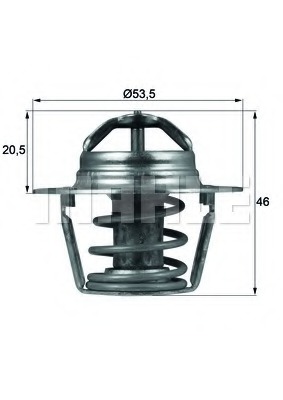 Termostat lichid racire