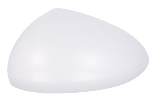 Carcasa oglinda exterioara