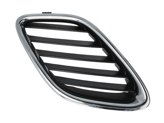 Grila radiator