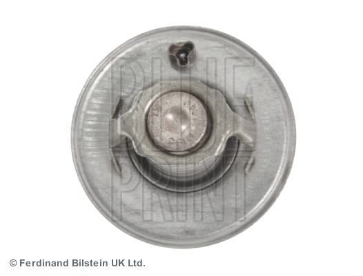 Termostat lichid racire