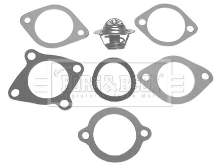 Termostat lichid racire