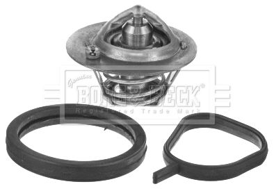 Termostat lichid racire