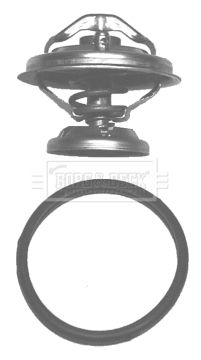 Termostat lichid racire