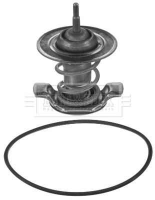 Termostat lichid racire