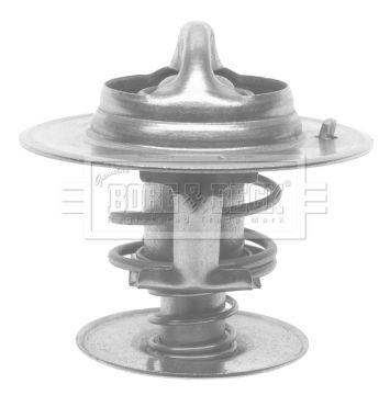 Termostat lichid racire