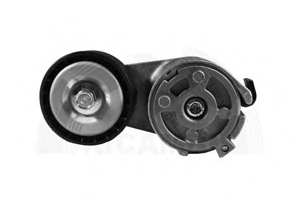 Intinzator curea curea distributie