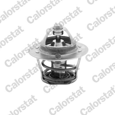 Termostat lichid racire