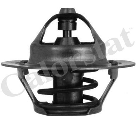 Termostat lichid racire