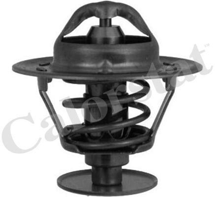 Termostat lichid racire
