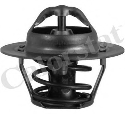 Termostat lichid racire