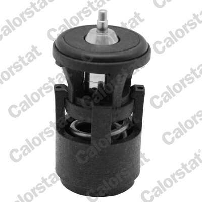 Termostat lichid racire