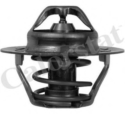 Termostat lichid racire