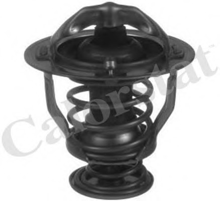 Termostat lichid racire