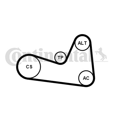 Set curea transmisie cu caneluri
