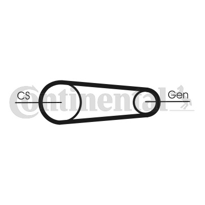 Set curea transmisie cu caneluri