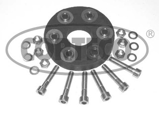 Articulatie cardan