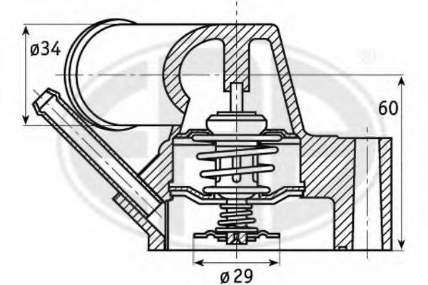 Termostat lichid racire