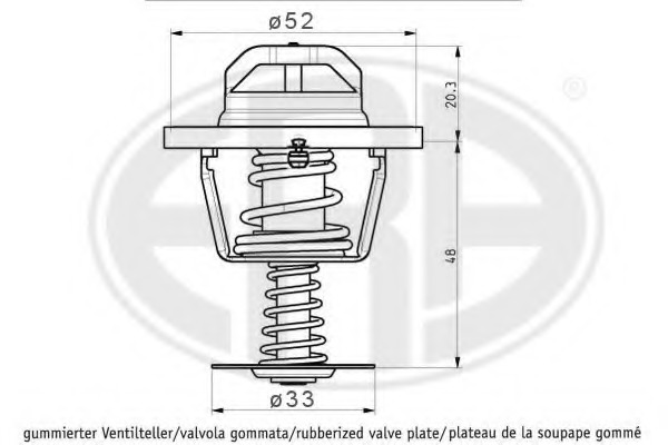 Termostat lichid racire