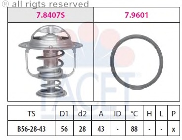 Termostat lichid racire