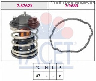 Termostat lichid racire