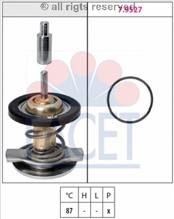Termostat lichid racire