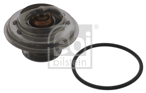 Termostat lichid racire