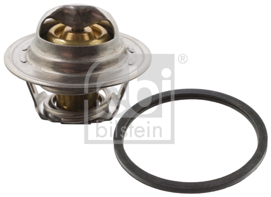 Termostat lichid racire
