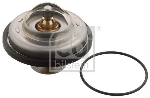Termostat lichid racire