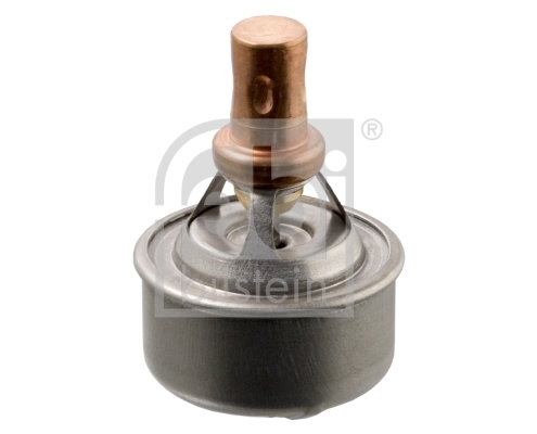 Termostat lichid racire