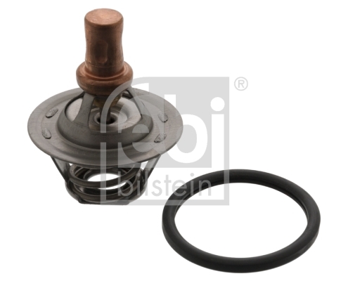 Termostat lichid racire