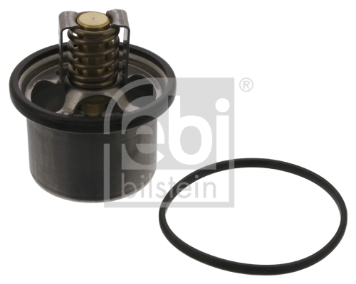 Termostat lichid racire