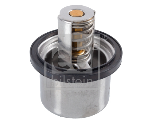 Termostat lichid racire